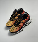 Nike Air Max TN "Tiger"
