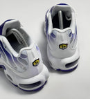 Nike Air Max TN "Purple Dragon"